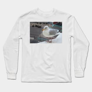 A European Herring Gull Long Sleeve T-Shirt